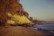 View north along the beach